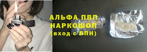 сатива Верея