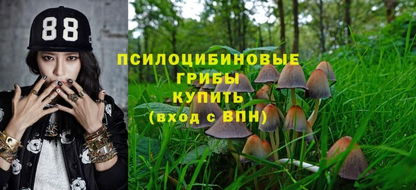 сатива Верея