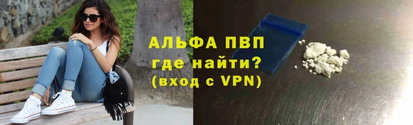 сатива Верея