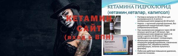 сатива Верея