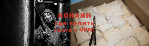 сатива Верея