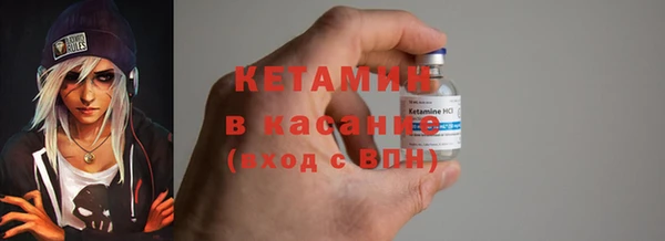 сатива Верея
