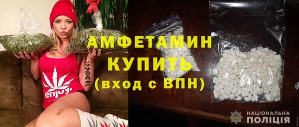 сатива Верея