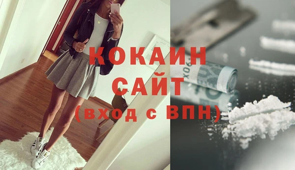 сатива Верея