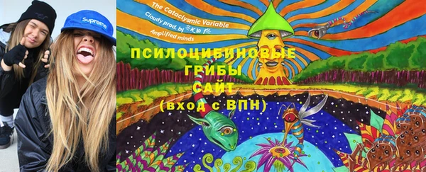 сатива Верея
