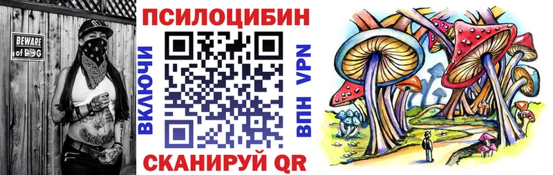 omg маркетплейс купить наркотик Новотроицк Псилоцибиновые грибы Psilocybe